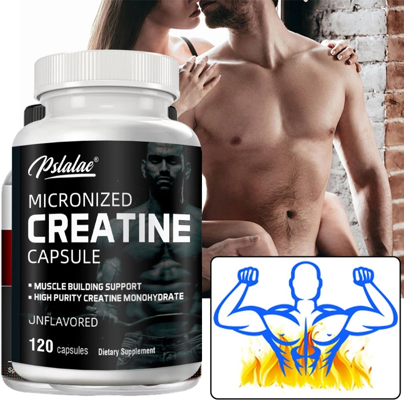 Nutrition Workout - Creatina monohidratada, desempenho energético, proteínas de
