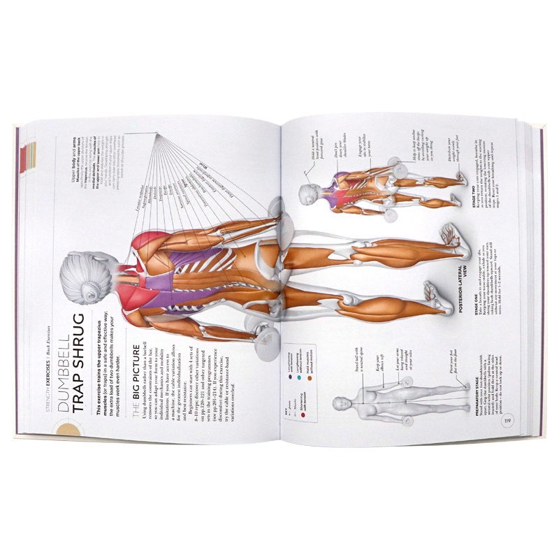 Ciência do treino de força, or - Nutrition Workout avaliação e preço