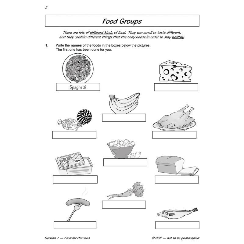 Livro de Nutrição para Treino  - Nutrition Workout avaliação e preço